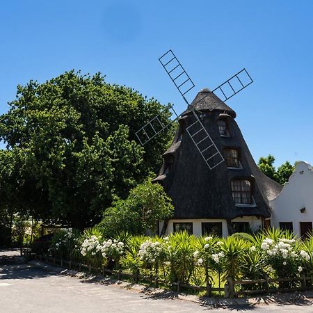 Hou Moed De Hollandsche Molen 빌라 외부 사진